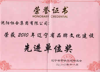 AG真人国际集团荣获“2010年辽宁省品牌文化建设先进单位”荣誉证书 